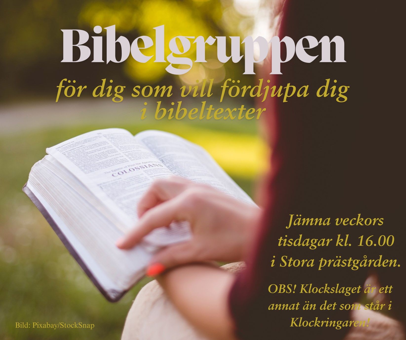 En bild av en person som läser en Bibel